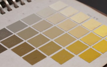 土のフシギ、種のフシギ