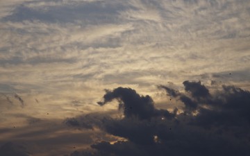 今年もよろしくお願いします！
