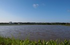 田植え前の水田