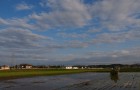 田植えが無事に終わりました