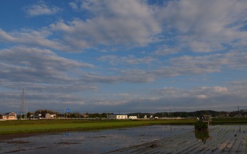 田植えが無事に終わりました
